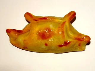 Empanda De Pollo